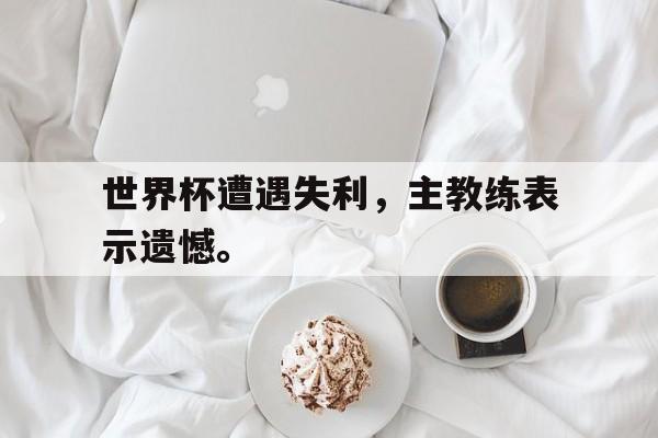 爱游戏全站app官方网站-世界杯遭遇失利，主教练表示遗憾。