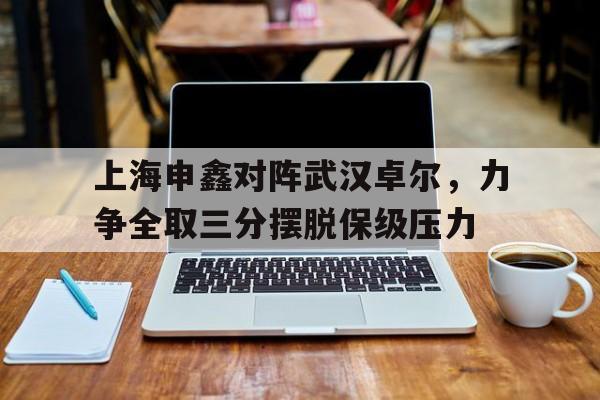 上海申鑫对阵武汉卓尔，力争全取三分摆脱保级压力
